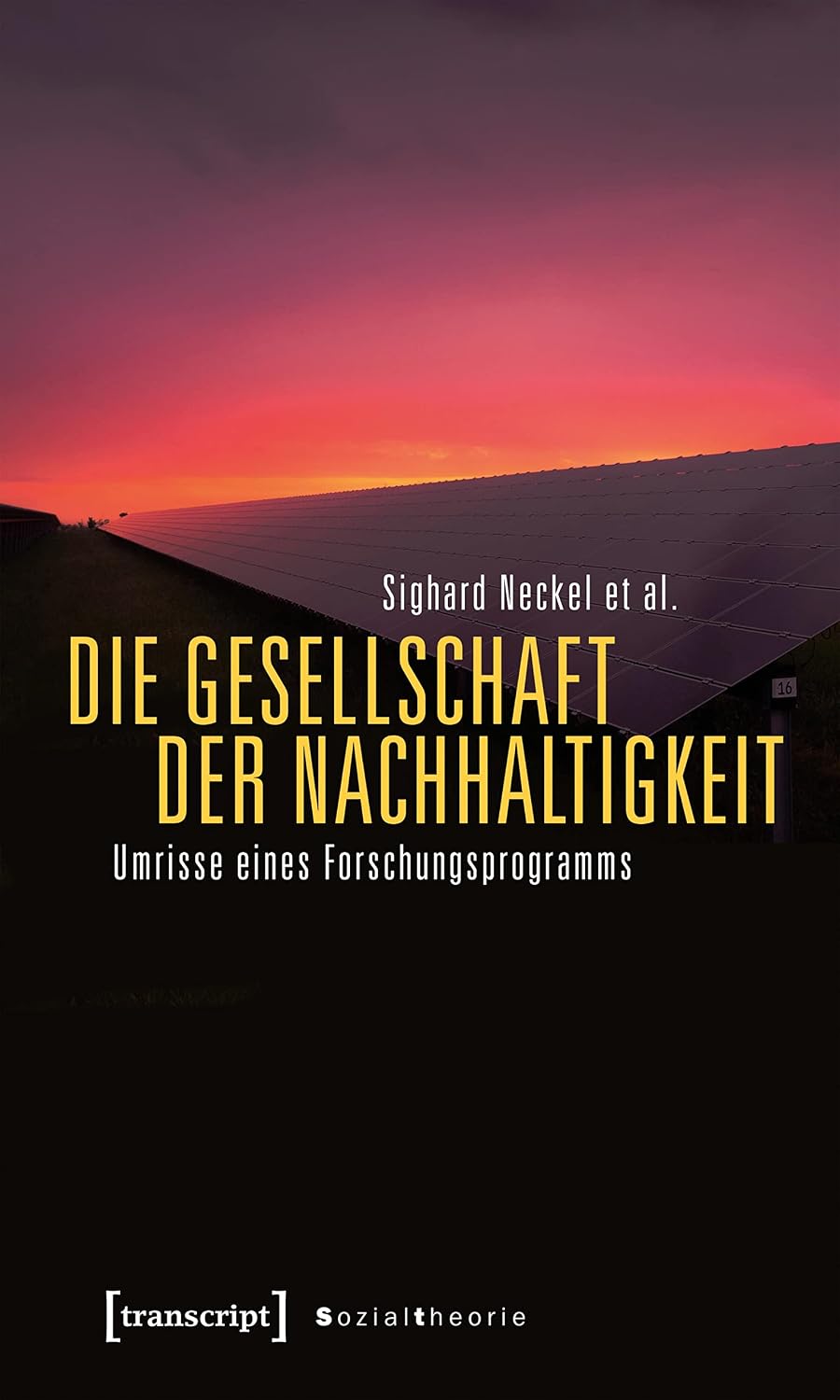 Die Gesellschaft der Nachhaltigkeit: Umrisse eines Forschungsprogramms (Sozialtheorie) (German Edition) baixar livro de graça