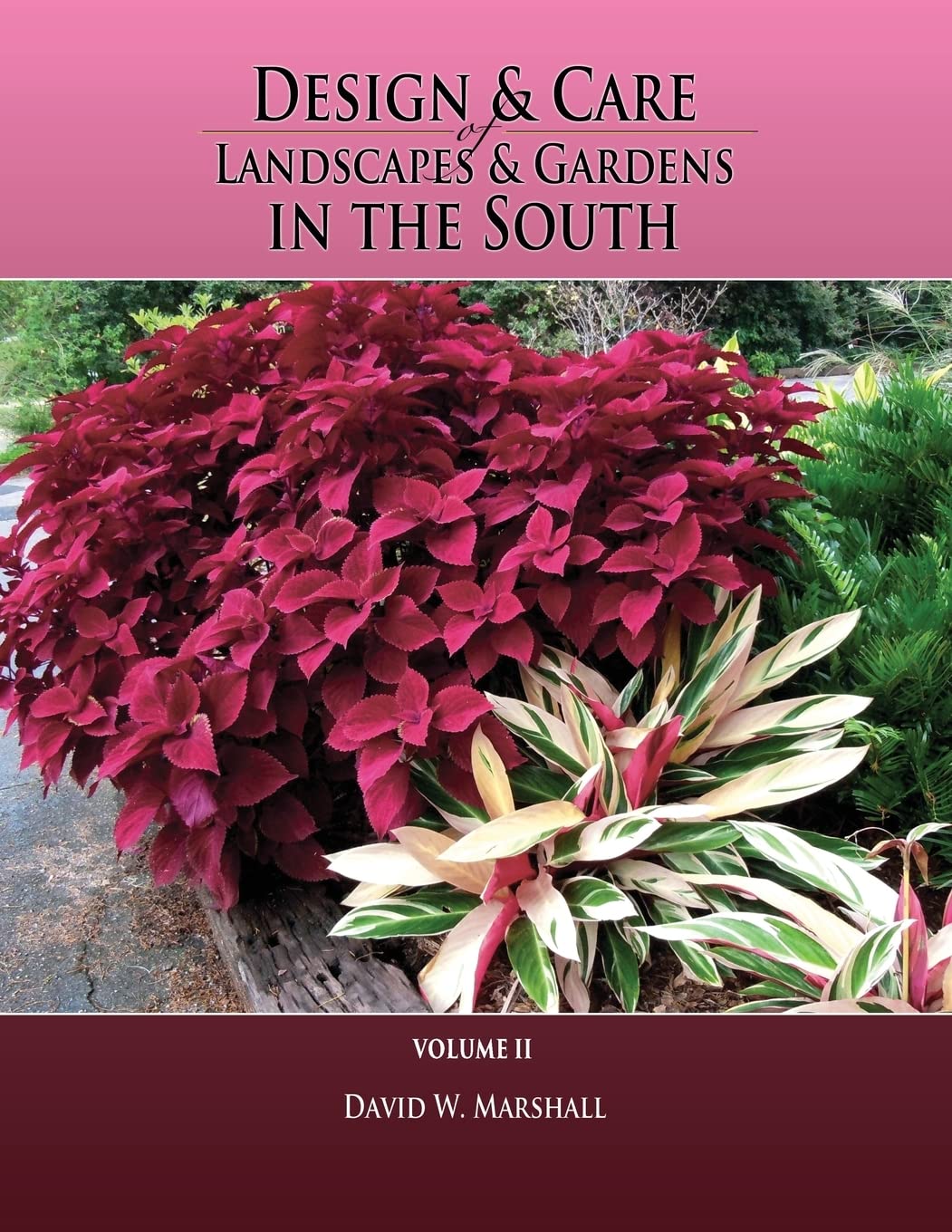 Design & Care of Landscapes & Gardens in the South, Volume 2 baixar livro de graça
