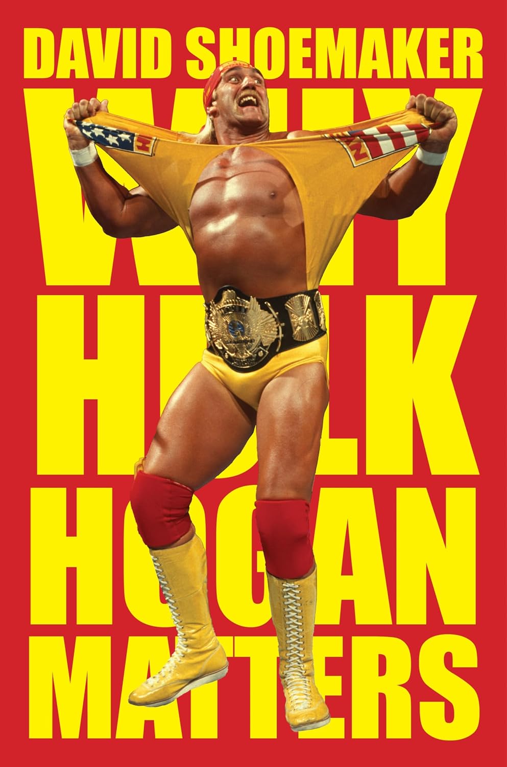 capítulo por capítulo baixar Why Hulk Hogan Matters (English Edition)
