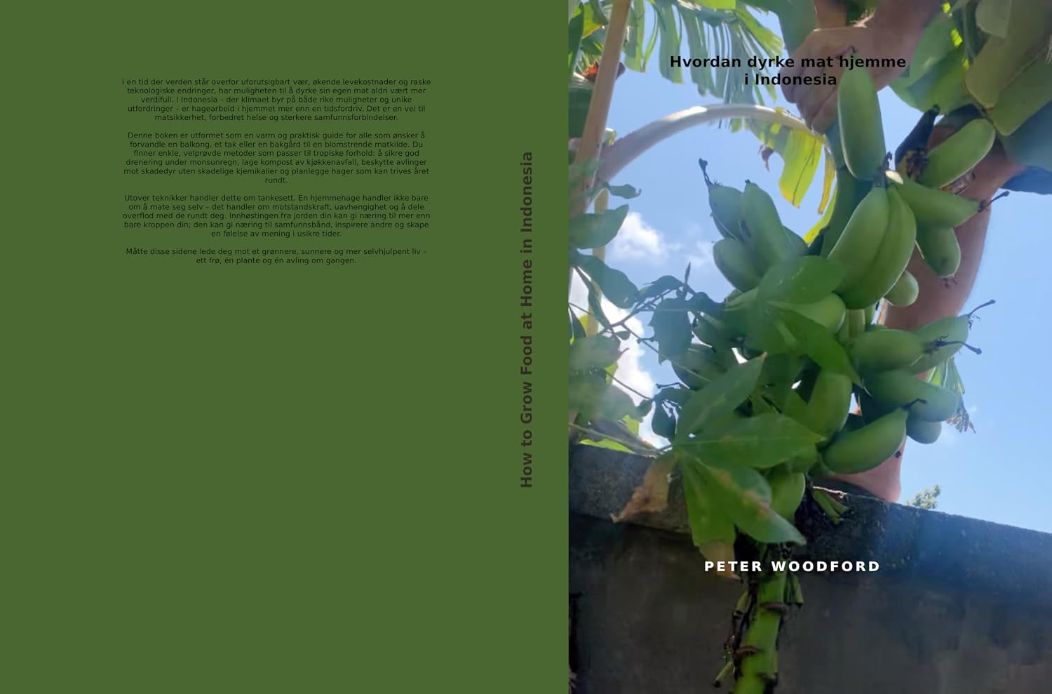 Hvordan dyrke mat hjemme i Indonesia (Norwegian Edition) baixar livro de graça