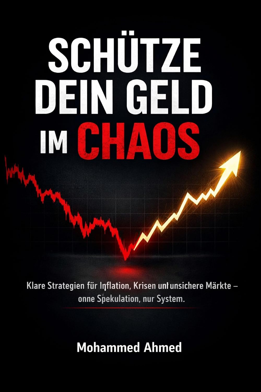 Schütze dein Geld im Chaos: Klare Strategien für Inflation, Krisen und unsichere Märkte – ohne Spekulation, nur System (Global Investor Starter Series 6) (German Edition) baixar livro de graça