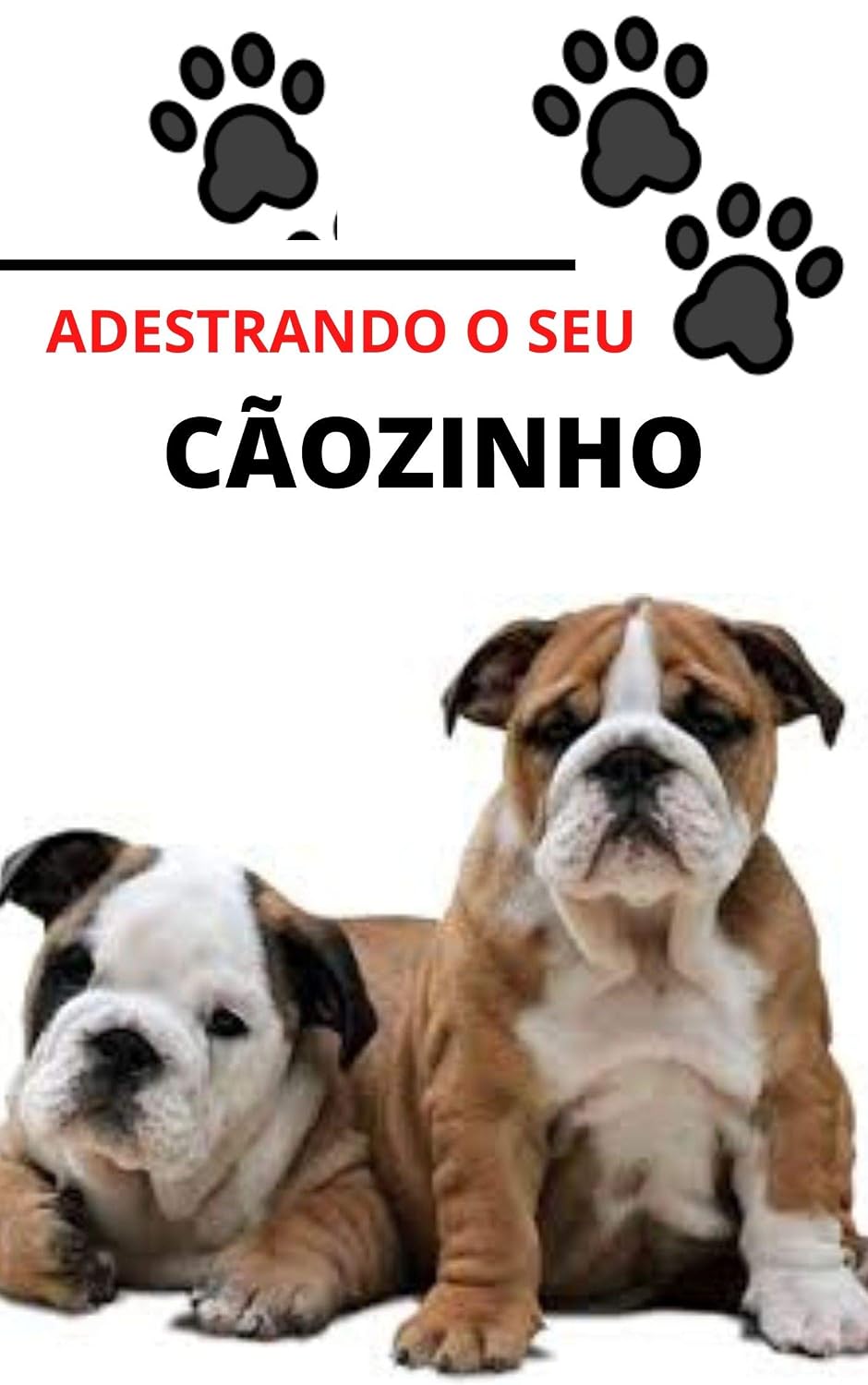 capítulo por capítulo baixar ADESTRANDO O SEU CÃOZINHO: Adestrar seu companheiro é essencial