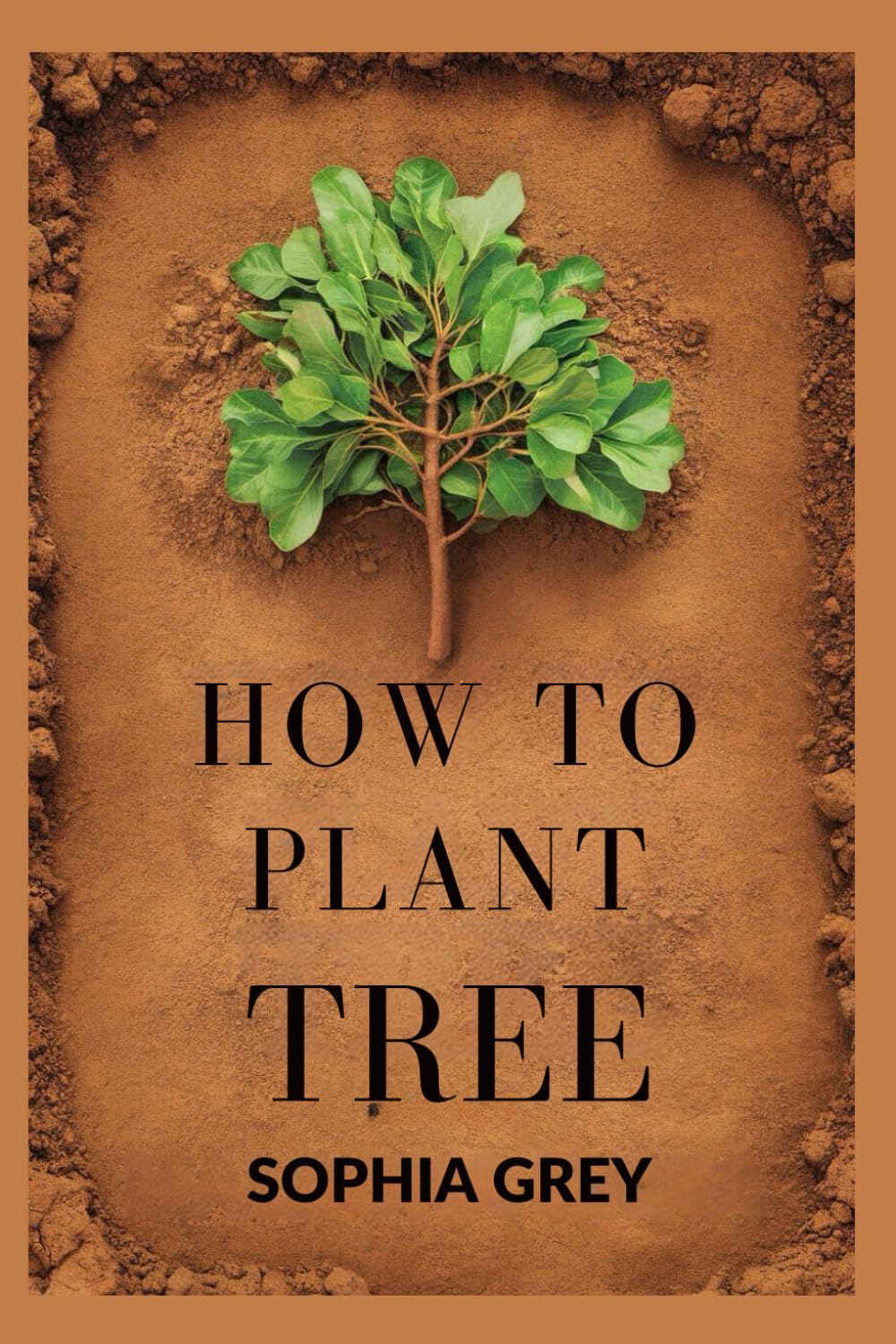 How To Plant A Tree