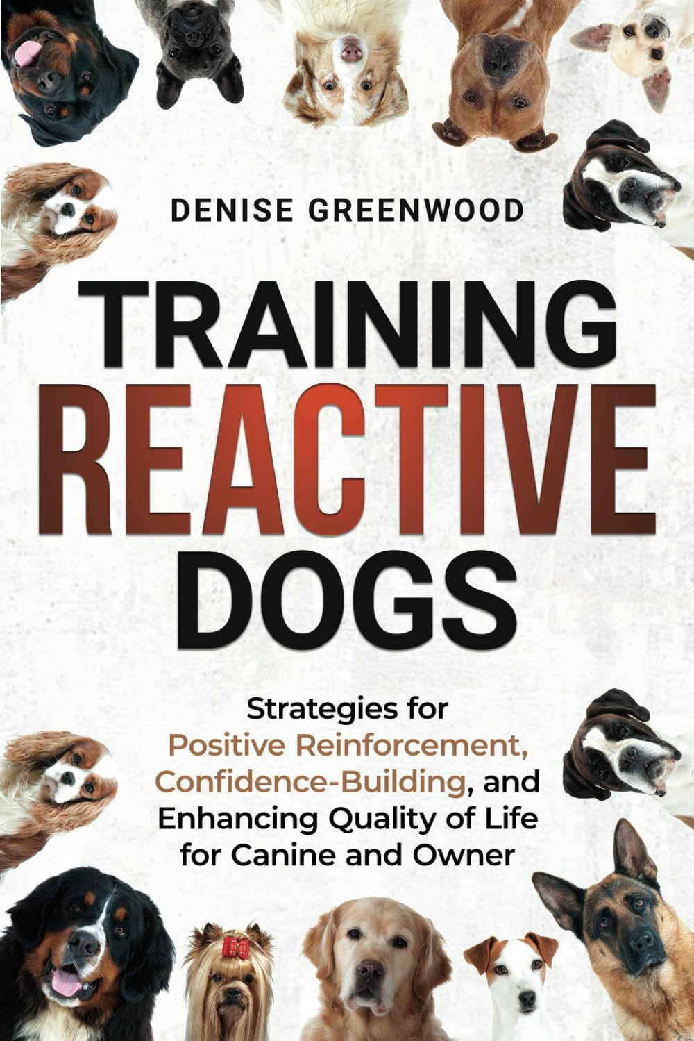 Training Reactive Dogs: Strategies for Positive Reinforcement, Confidence-Building, and Enhancing Quality of Life for Canine and Owner baixar livro de graça