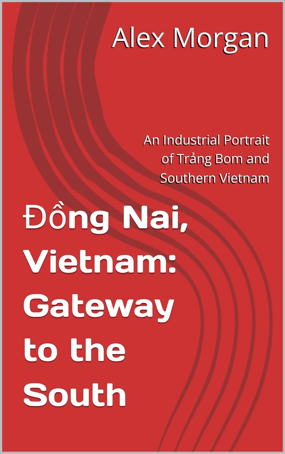 ler totalmente Đồng Nai, Vietnam: Gateway to the South: An Industrial Portrait of Trảng Bom and Southern Vietnam (English Edition)