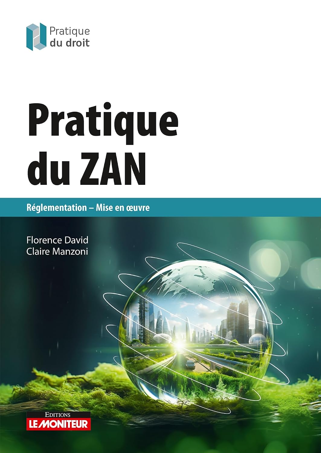 Pratique du ZAN (French Edition)