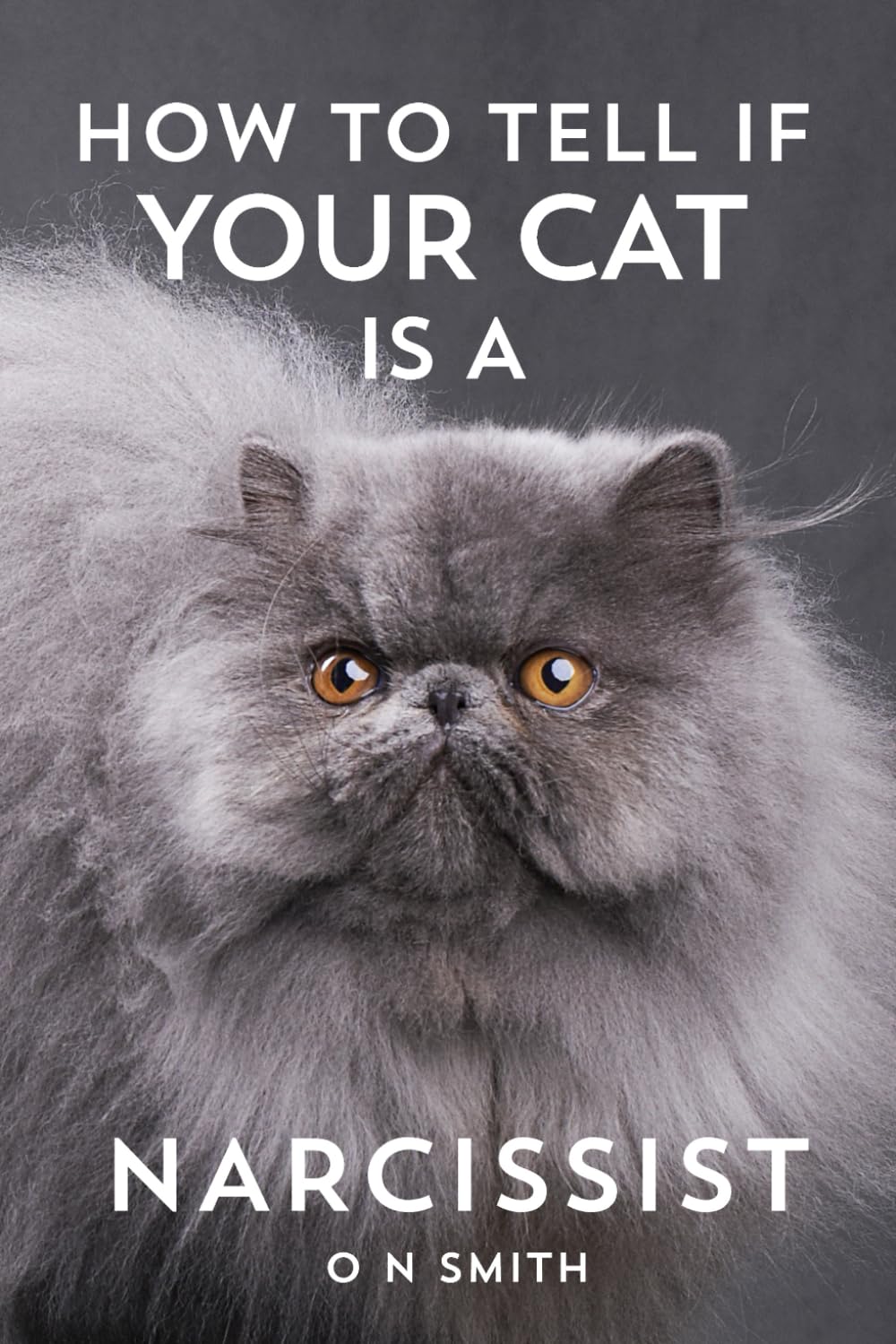 ler totalmente How to Tell If Your Cat Is a Narcissist: A Satirical Guide to Surviving Feline Emotional Abuse