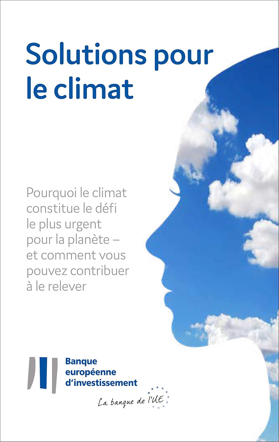 Solutions Climatiques (French Edition) baixar livro de graça