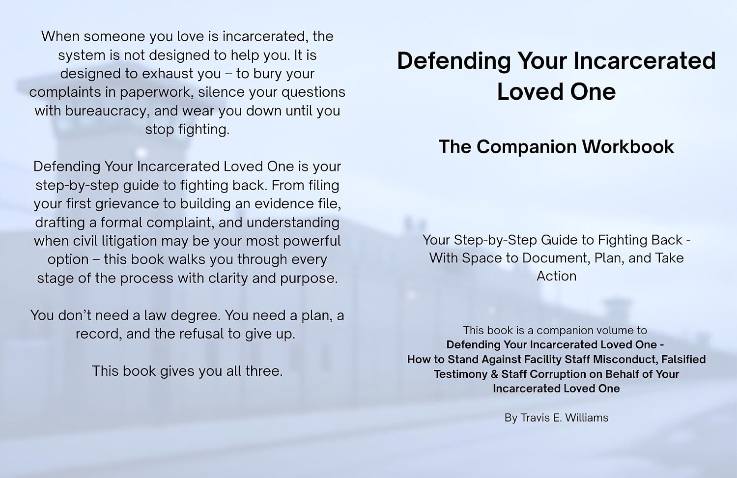 Defending Your Incarcerated Loved One: The Companion Workbook (English Edition) baixar livro de graça