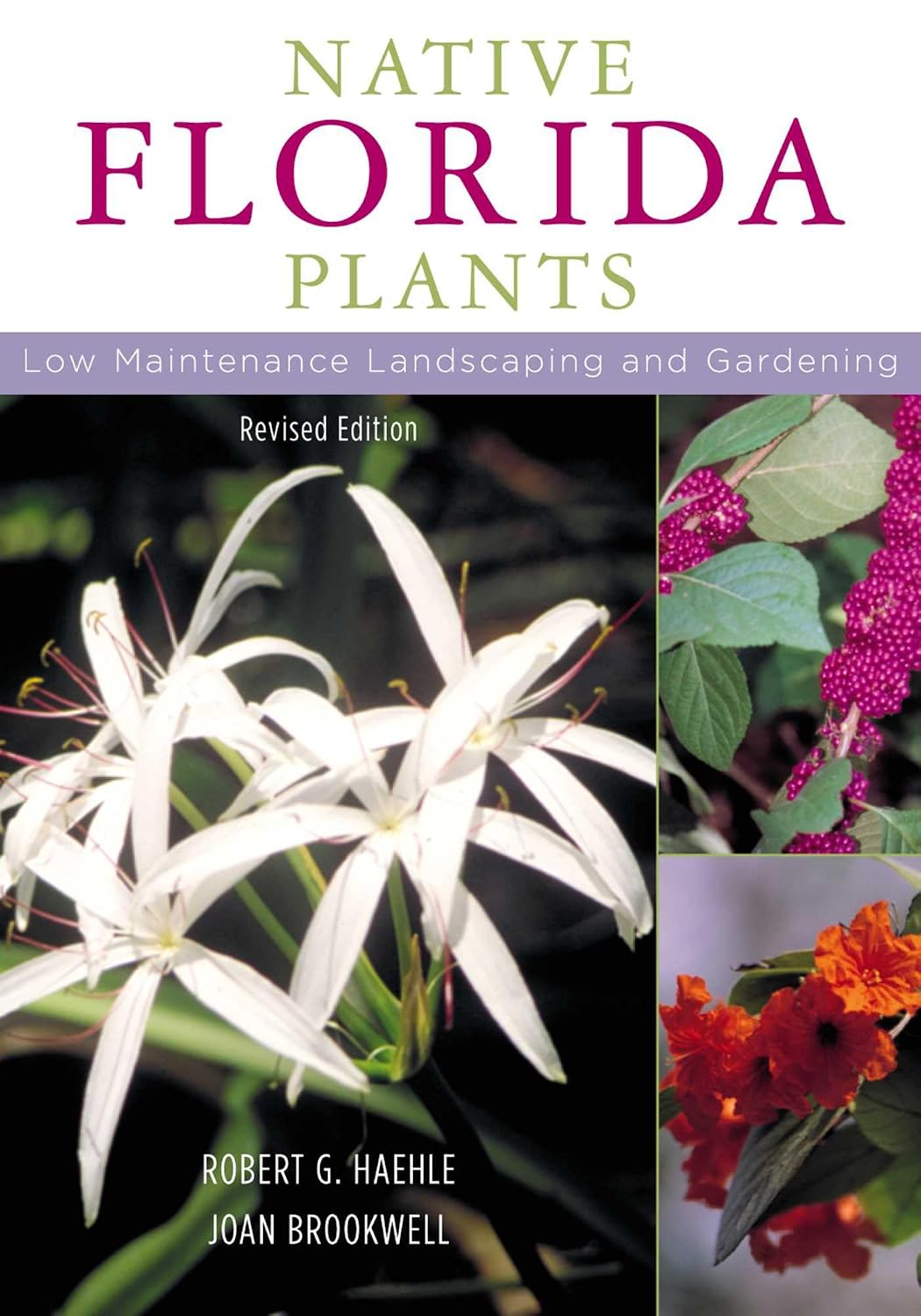 capítulo por capítulo baixar Native Florida Plants: Low Maintenance Landscaping and Gardening (English Edition)