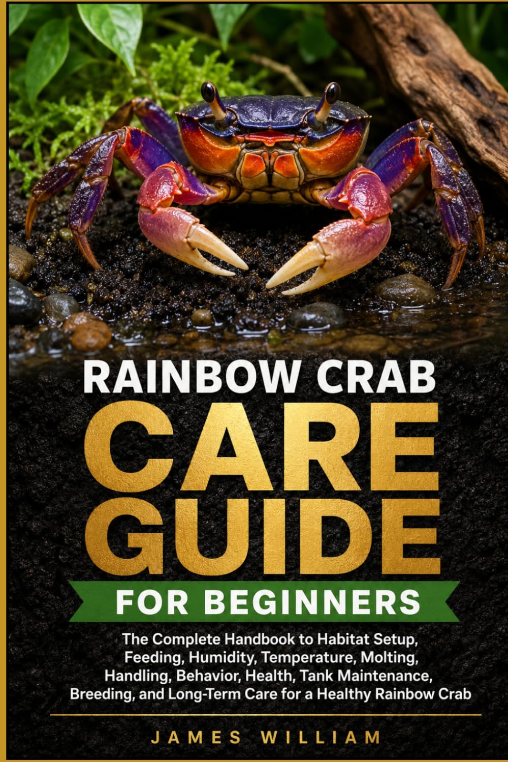 Rainbow Crab Care Guide for Beginners: The Complete Handbook to Habitat Setup, Feeding, Humidity, Temperature, Molting, Handling, Behavior, Health,... and Long-Term Care for a Healthy Rainbow Crab baixar livro de graça