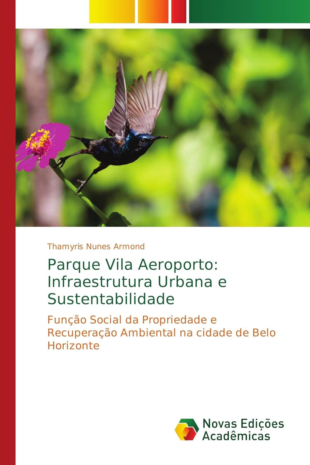 Parque Vila Aeroporto: Infraestrutura Urbana e Sustentabilidade: Função Social da Propriedade e Recuperação Ambiental na cidade de Belo Horizonte