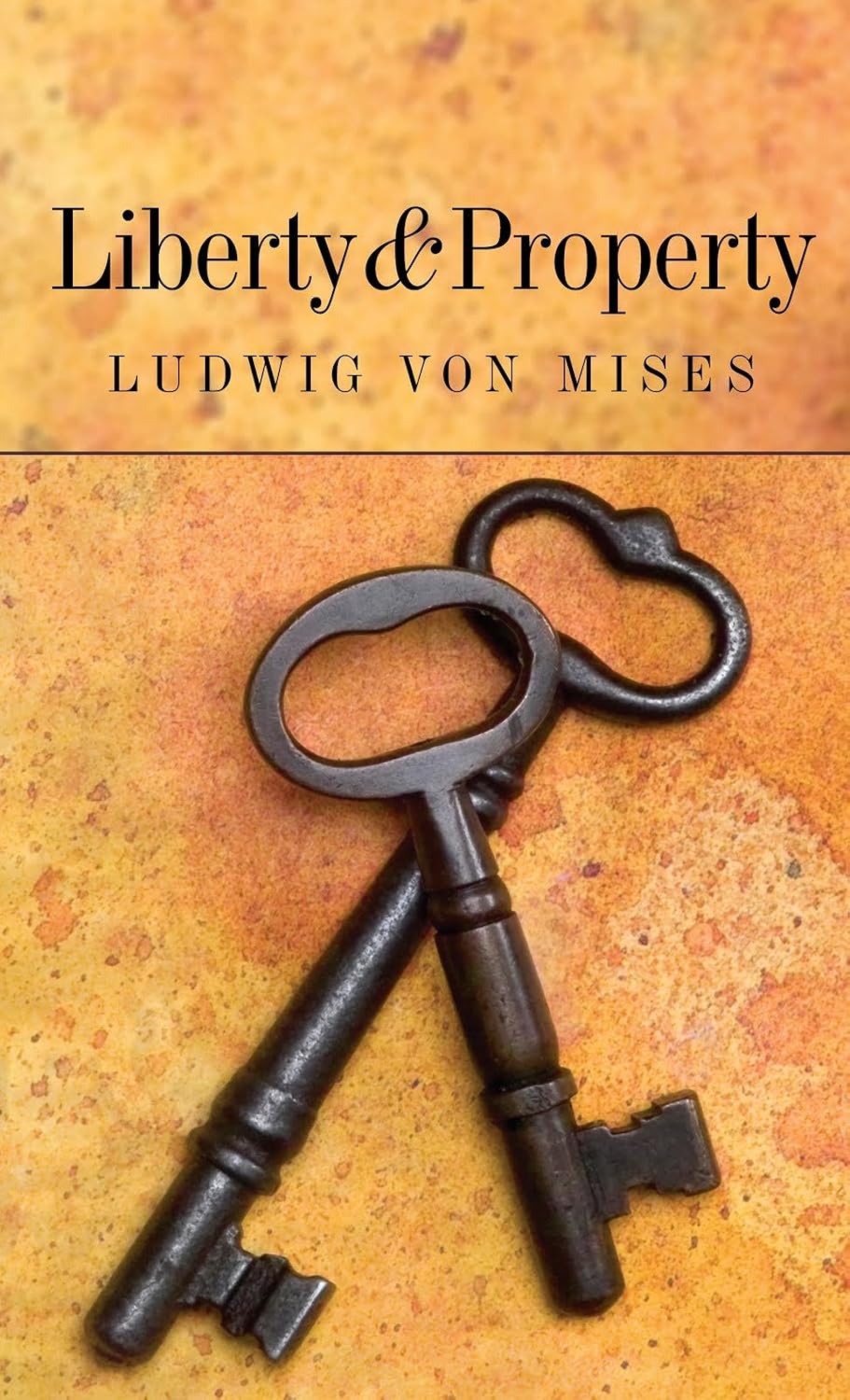 ler totalmente Liberty and Property (LvMI) (English Edition)