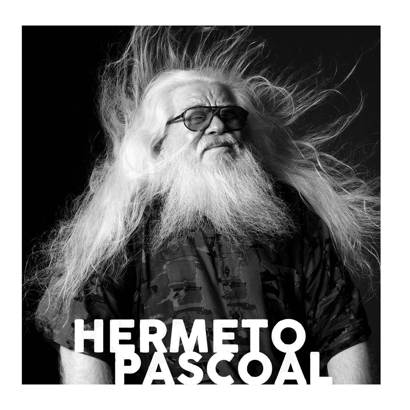 Hermeto Pascoal - Trajetória Musical baixar o livro de graça