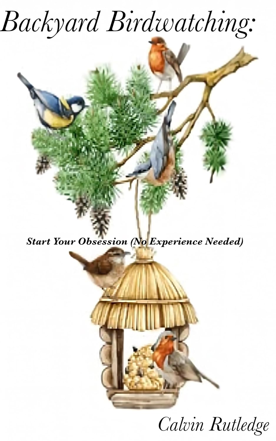 ler totalmente Backyard Birdwatching:: Start Your Obsession (No Experience Needed) (English Edition)