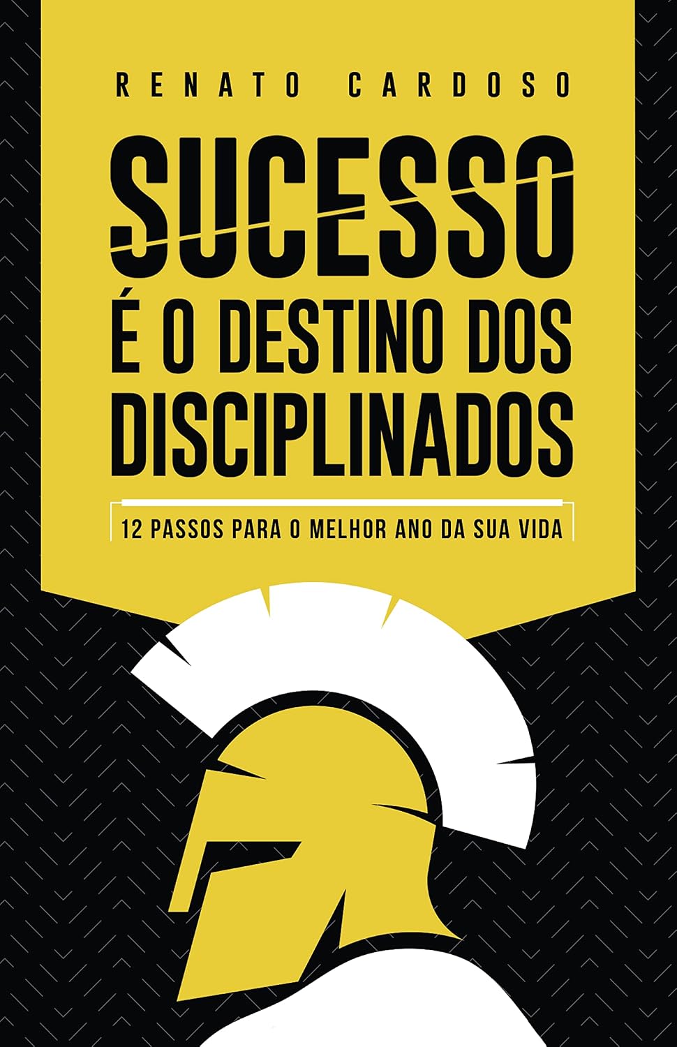 Sucesso é o Destino dos Disciplinados: 12 Passos para o melhor ano da sua vida: Volume 1 baixar livro de graça