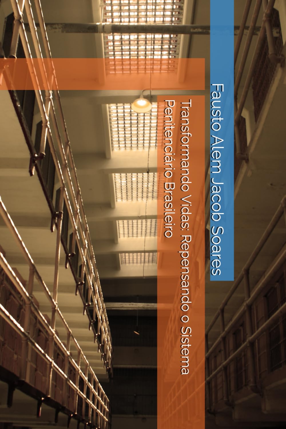 Transformando Vidas: Repensando o Sistema Penitenciário Brasileiro (Portuguese Edition) baixar livro de graça