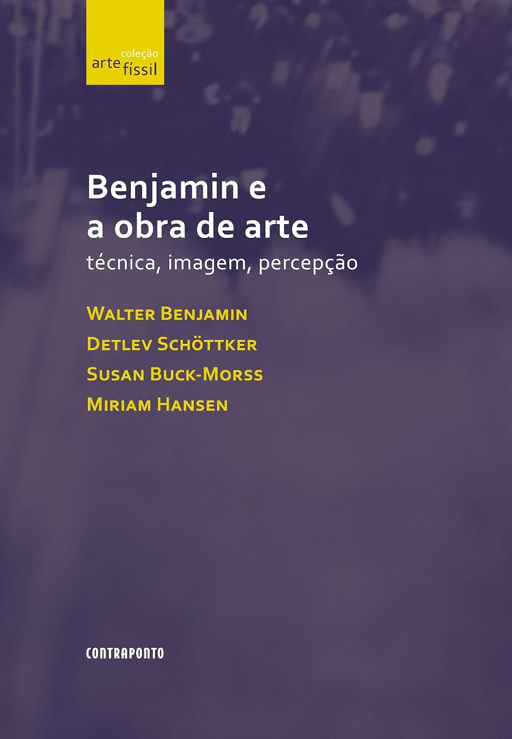 Benjamin e a obra de arte: técnica, imagem, percepção baixar livro de graça