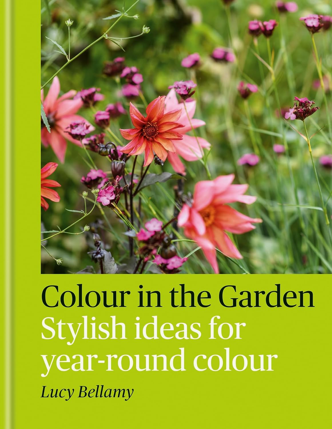 Colour in the Garden: Stylish ideas for year-round colour (English Edition)