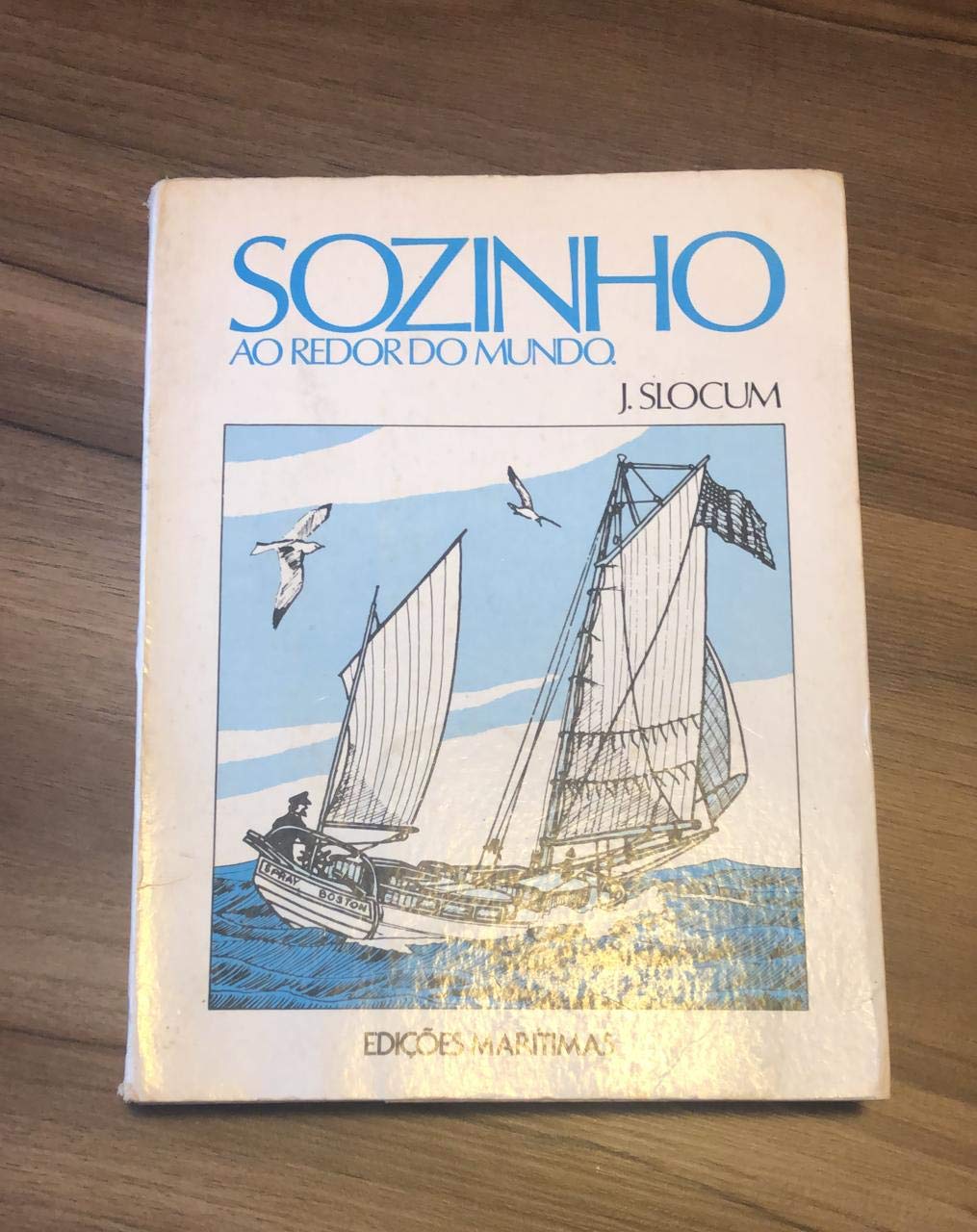 ler totalmente Sozinho ao Redor do Mundo