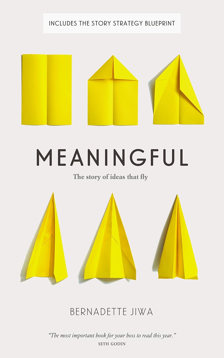 Meaningful: The Story of Ideas That Fly (English Edition) baixar livro de graça