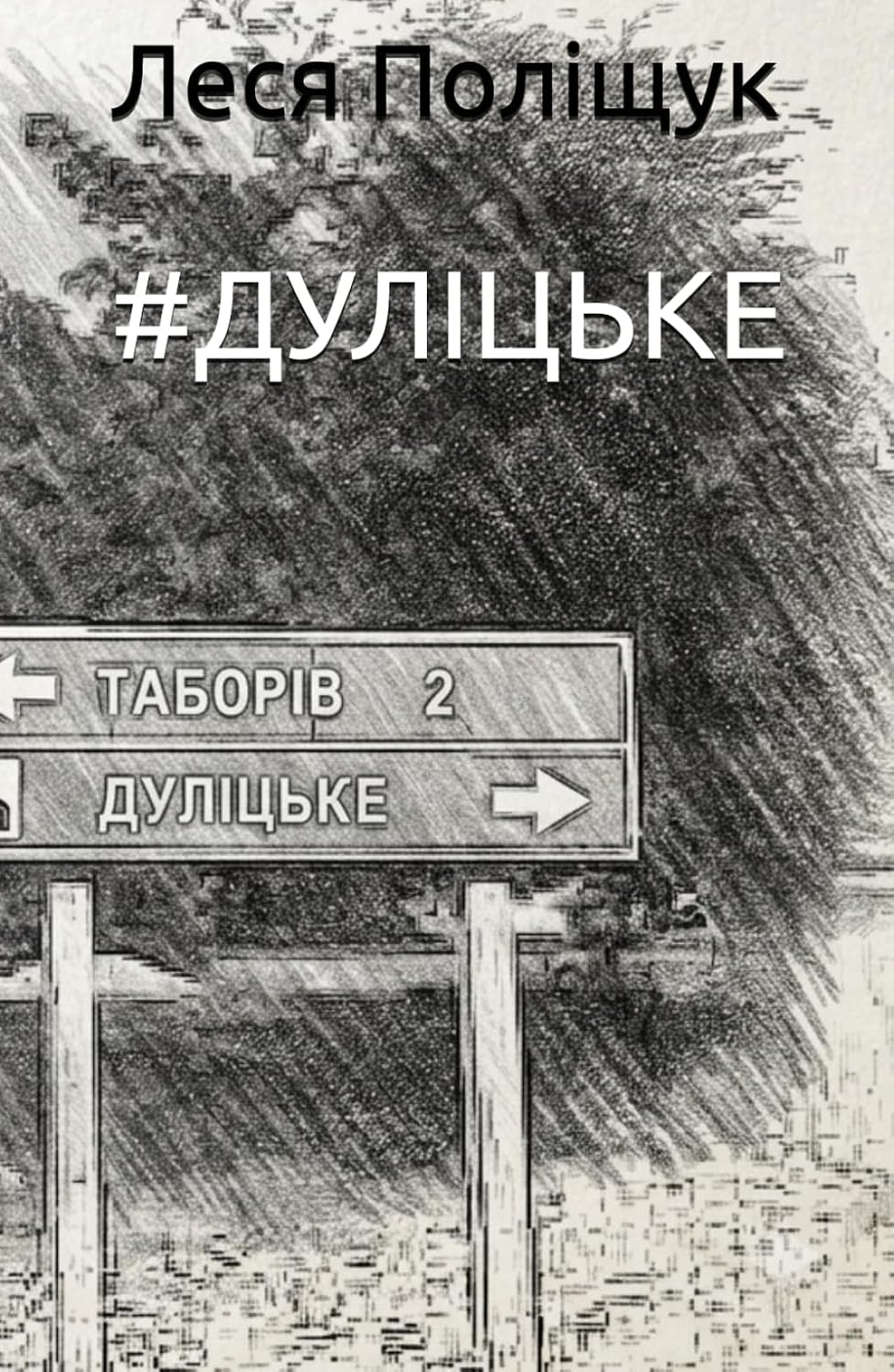 #ДУЛІЦЬКЕ (Ukrainian Edition) baixar o livro de graça