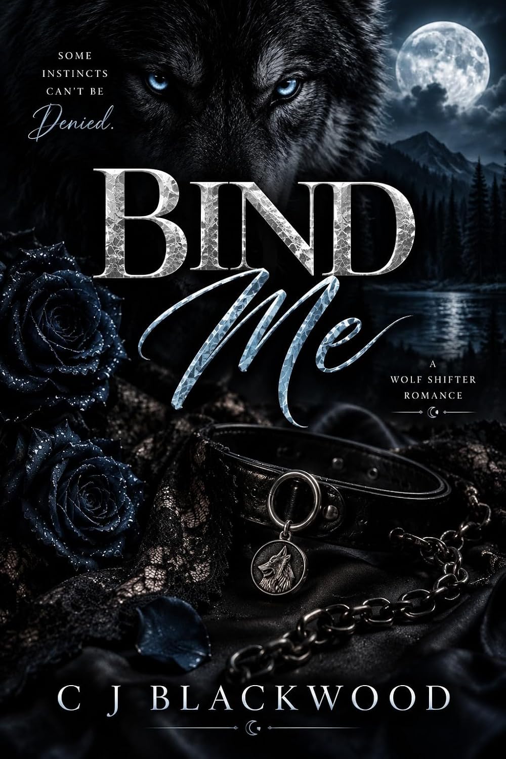 Bind Me: A Wolf Shifter Enemies to Lovers Romance (The Blood Accord Book 1) (English Edition) baixar o livro de graça