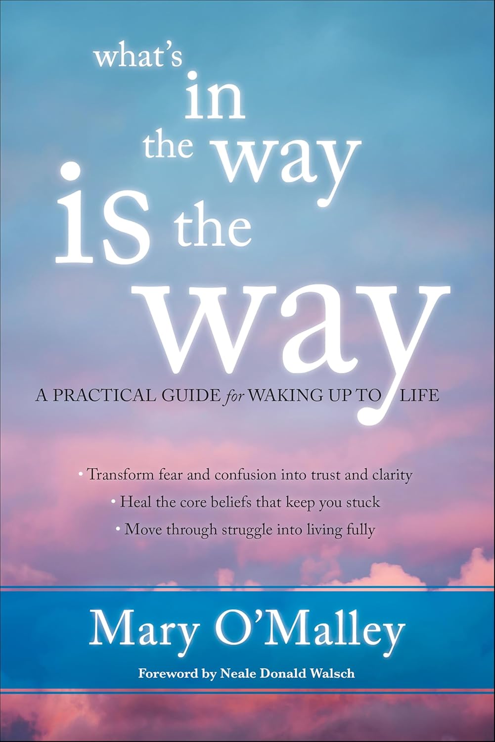What's in the Way Is the Way: A Practical Guide for Waking Up to Life (English Edition) baixar o livro de graça