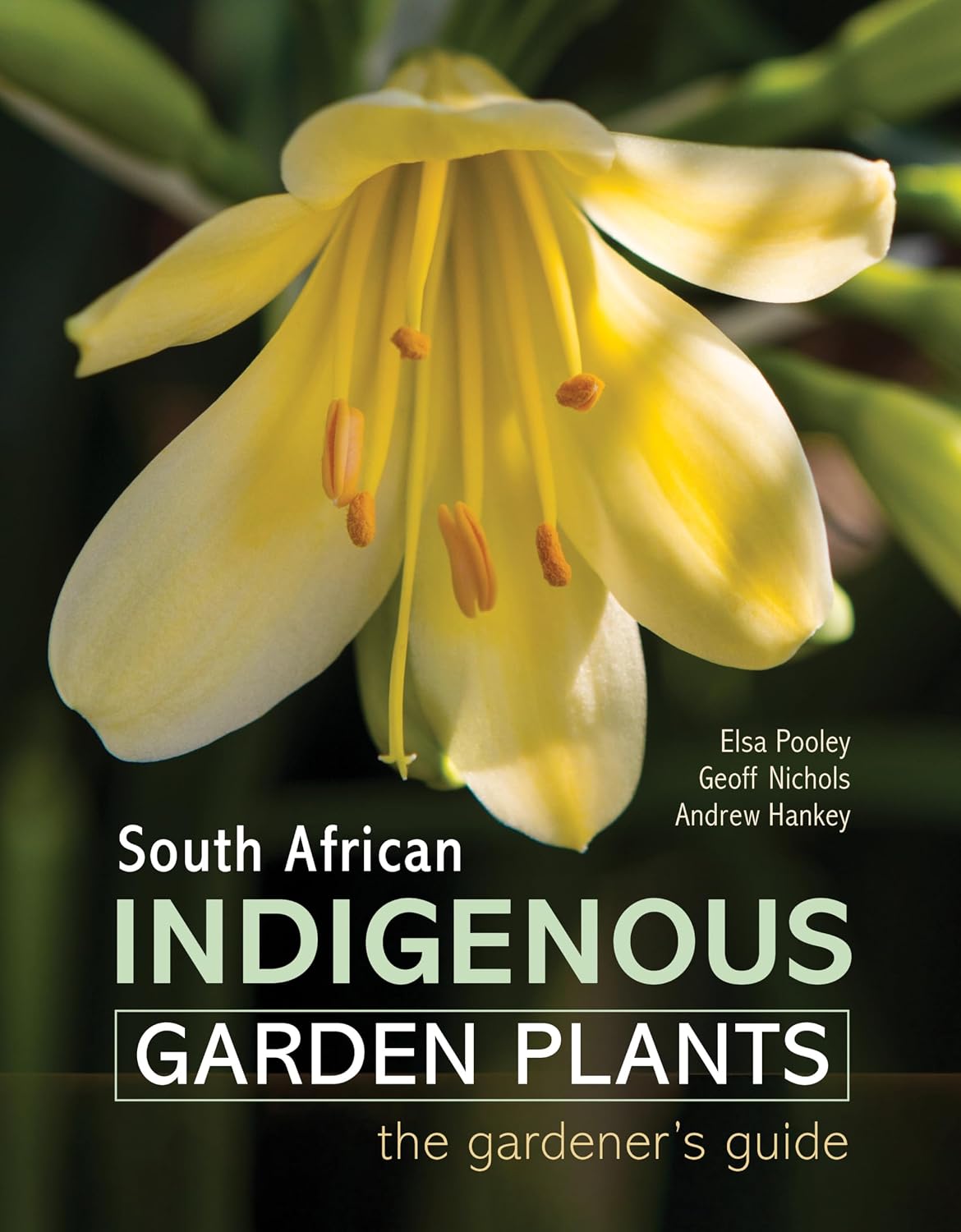 capítulo por capítulo baixar South African Indigenous Garden Plants - The Gardener's Guide