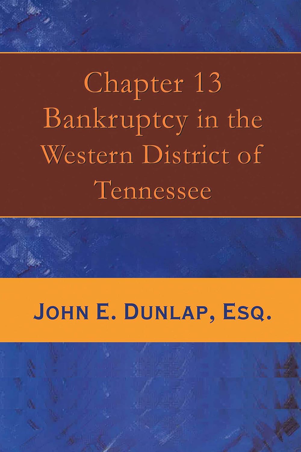 Chapter 13 Bankruptcy in the Western District of Tennessee (English Edition) baixar livro de graça