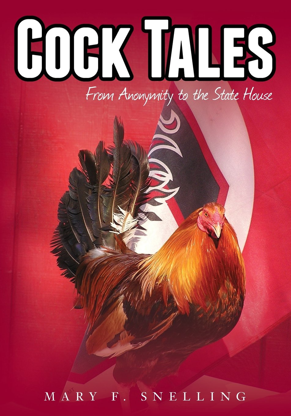 Cock Tales: From Anonymity to the State House baixar livro de graça