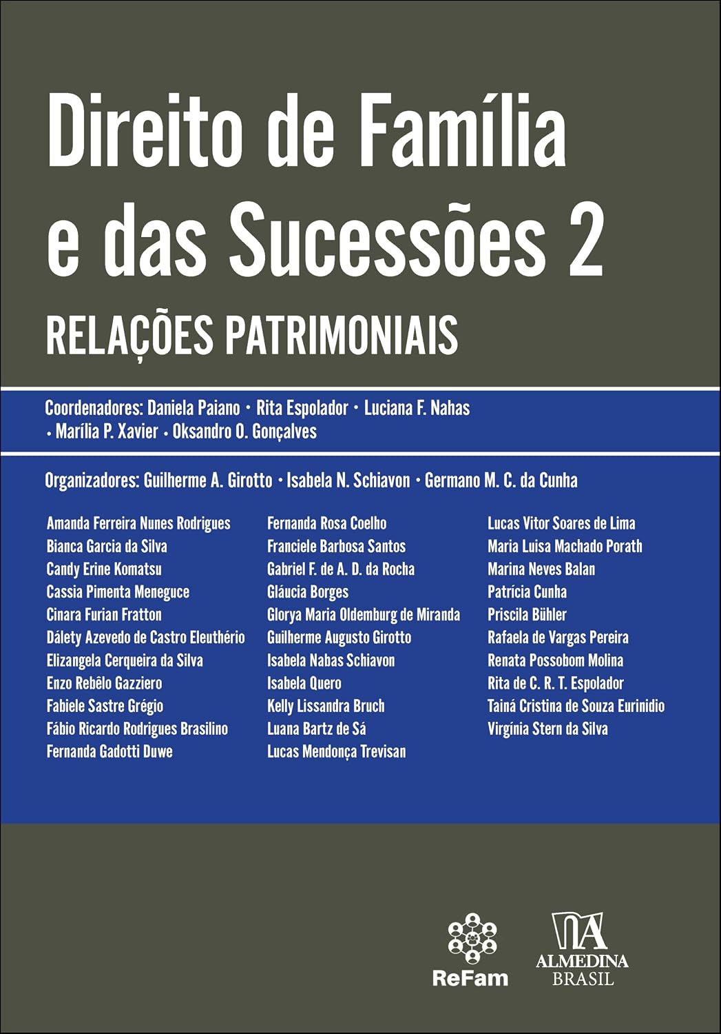 Direito de Família e das Sucessões 2: Relações Patrimoniais baixar o livro de graça