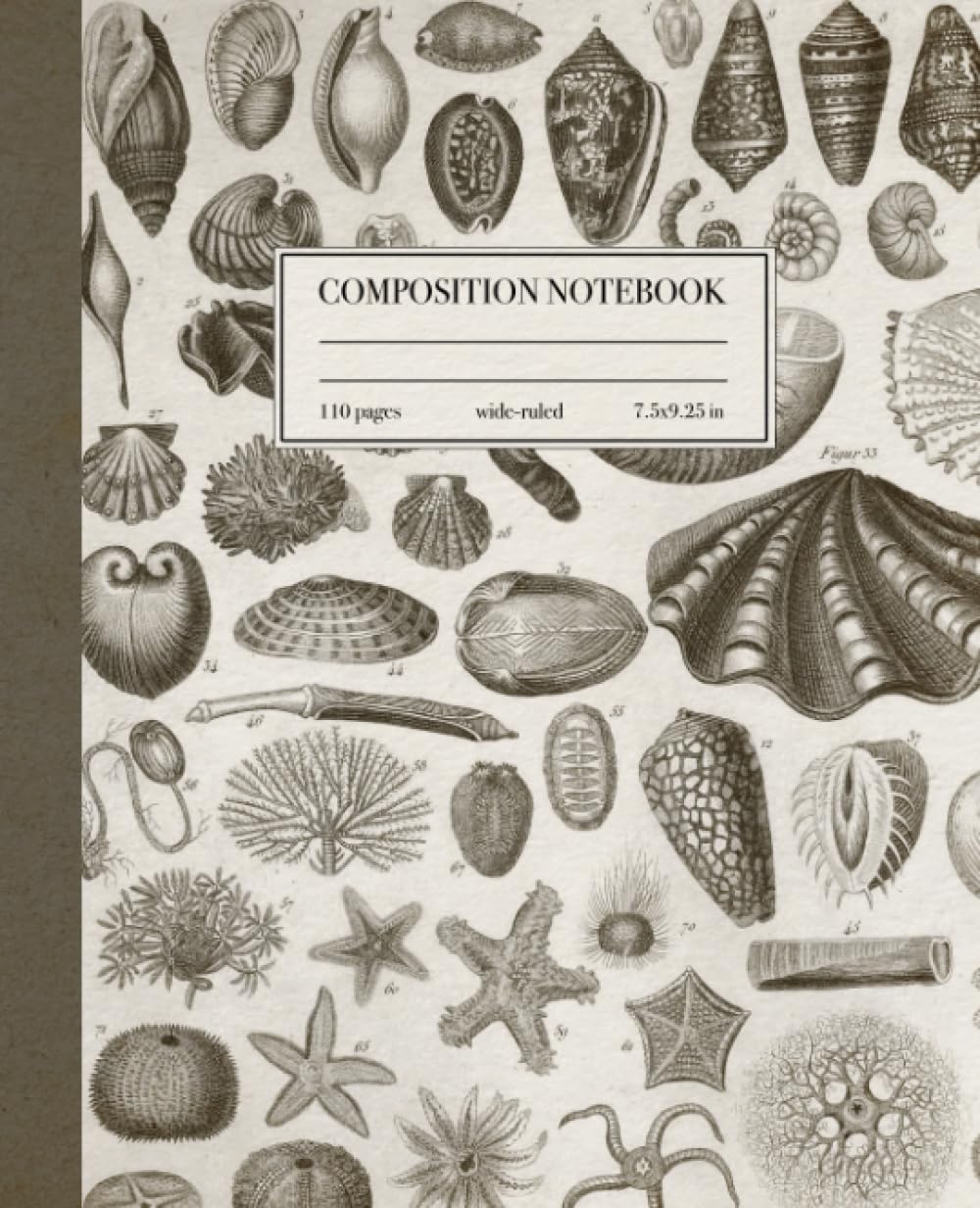 Composition Notebook Wide Ruled: Seashell Vintage Illustration Notebook | Wide Lined Paper Composition Book for Teens, Kids, Students | School Supplies baixar o livro de graça