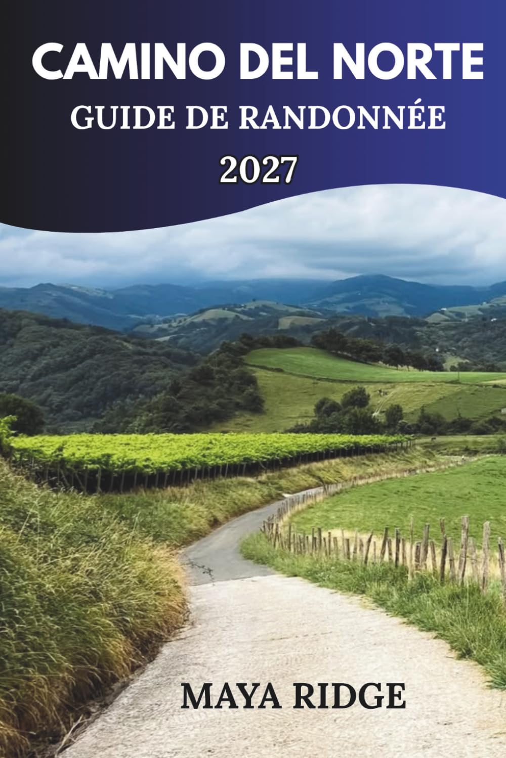 capítulo por capítulo baixar CAMINO DEL NORTE GUIDE DE RANDONNÉE 2027: Étapes de sentiers, itinéraires côtiers, conseils d'hébergement et astuces pratiques pour les pèlerins... TO SUMMIT HIKING SERIES) (French Edition)