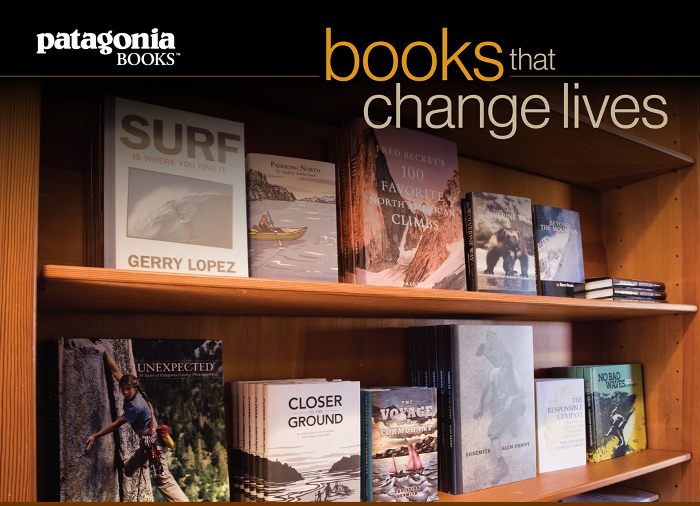 capítulo por capítulo baixar Books That Change Lives: A Sampling from Patagonia Books (English Edition)