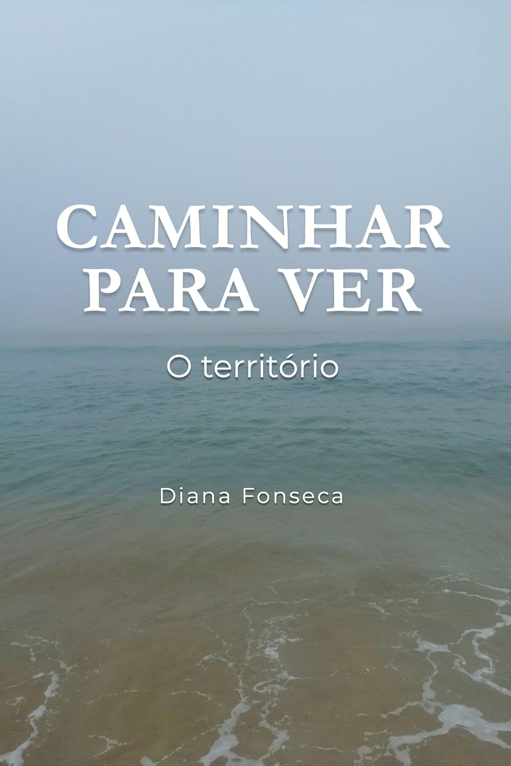 ler totalmente Caminhar para ver: O território