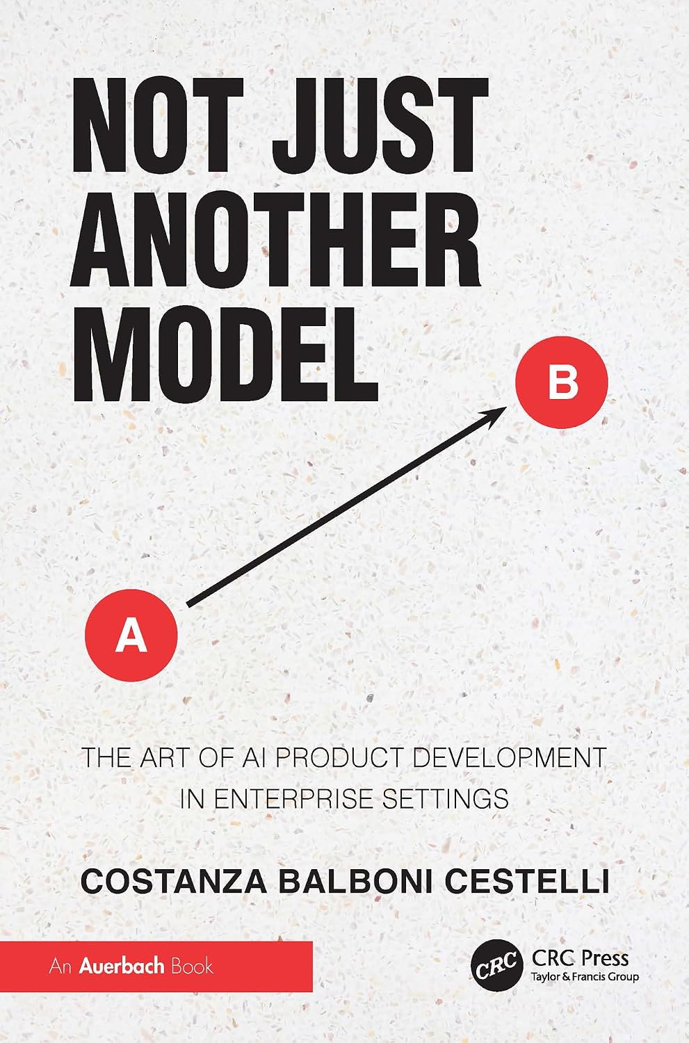 Not Just Another Model: The Art of AI Product Development in Enterprise Settings (English Edition) baixar o livro de graça