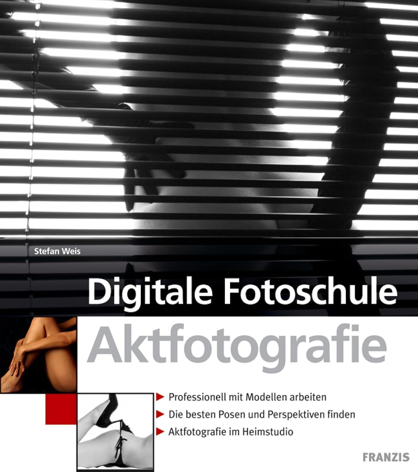 capítulo por capítulo baixar Aktfotografie: Professionell mit Modellen arbeiten (Digitale Fotoschule) (German Edition)