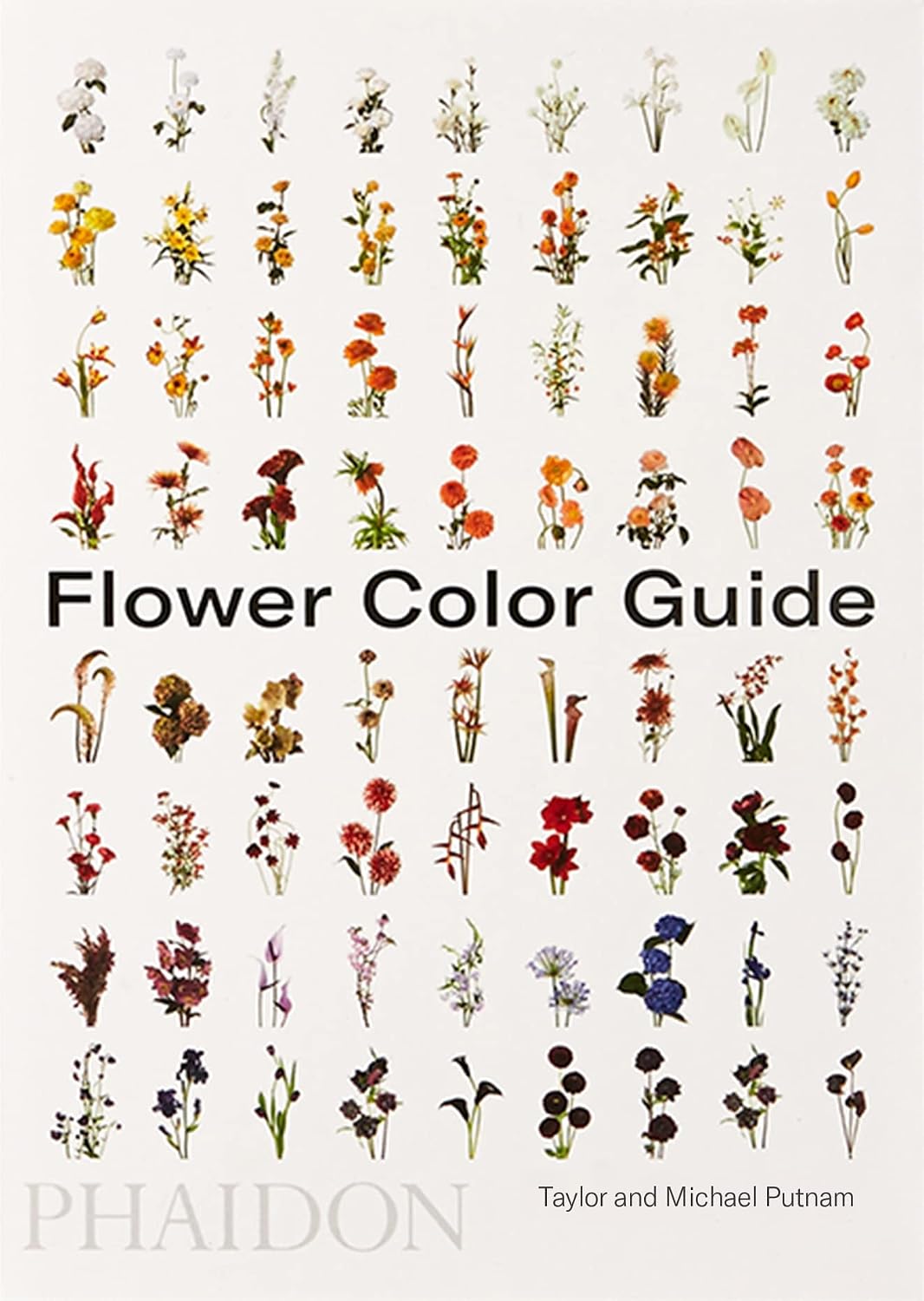 Flower Color Guide baixar livro de graça