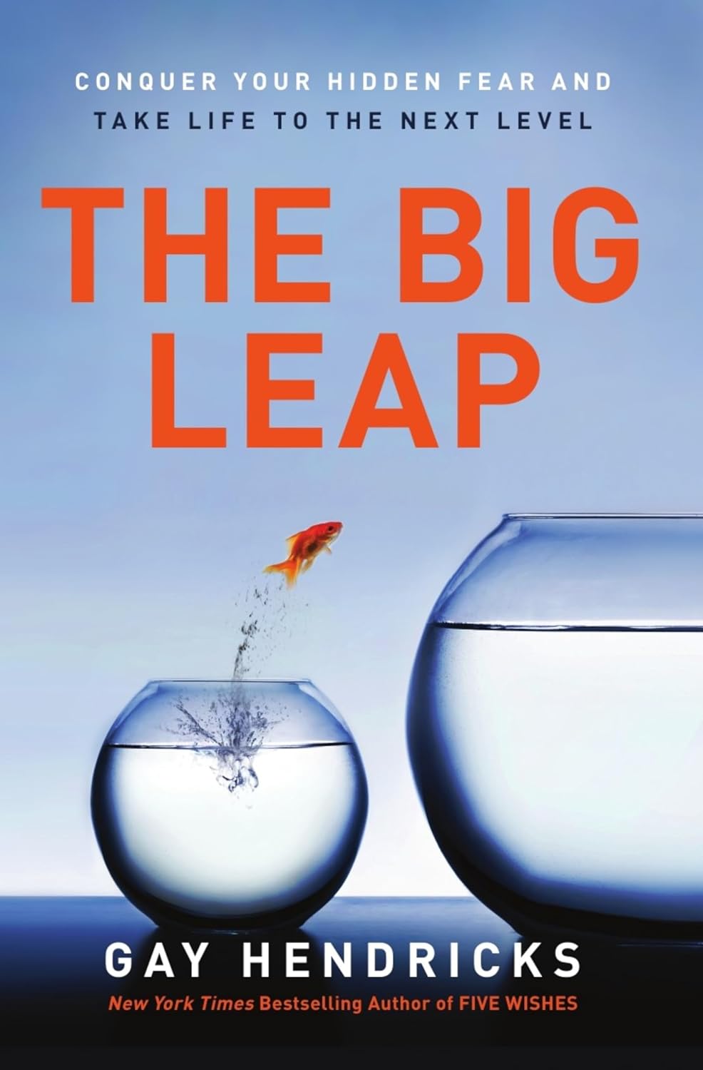 ler totalmente Big Leap, The: Conquer Your Hidden Fear and Take Life to the Next Level