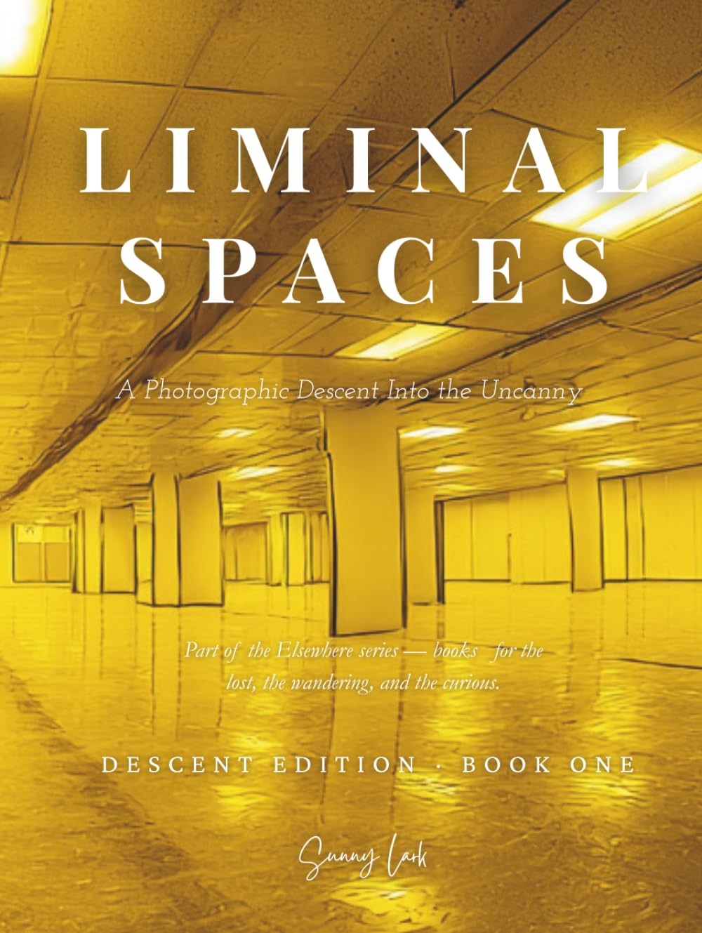 capítulo por capítulo baixar Liminal Spaces A Photographic Descent Into the Uncanny: Descent Edition · Book One: Backrooms-Inspired Liminal Horror Photography Book, Uncanny Art Book, Visual Gift (The Elsewhere Series)