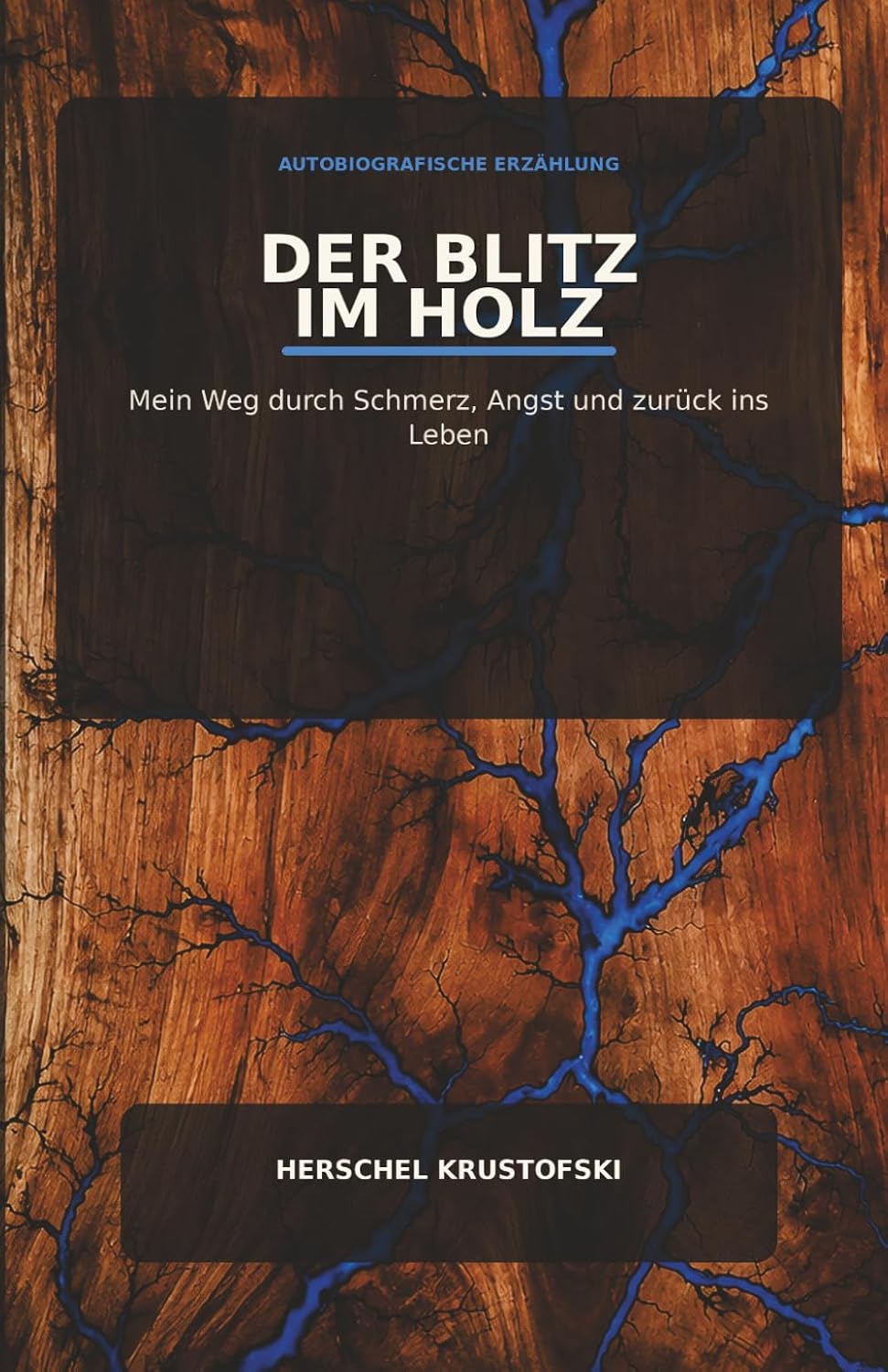 Der Blitz im Holz: Autobiographische Erzählung/ Mein weg durch Schmerz, Angst und zurück ins Leben baixar livro de graça