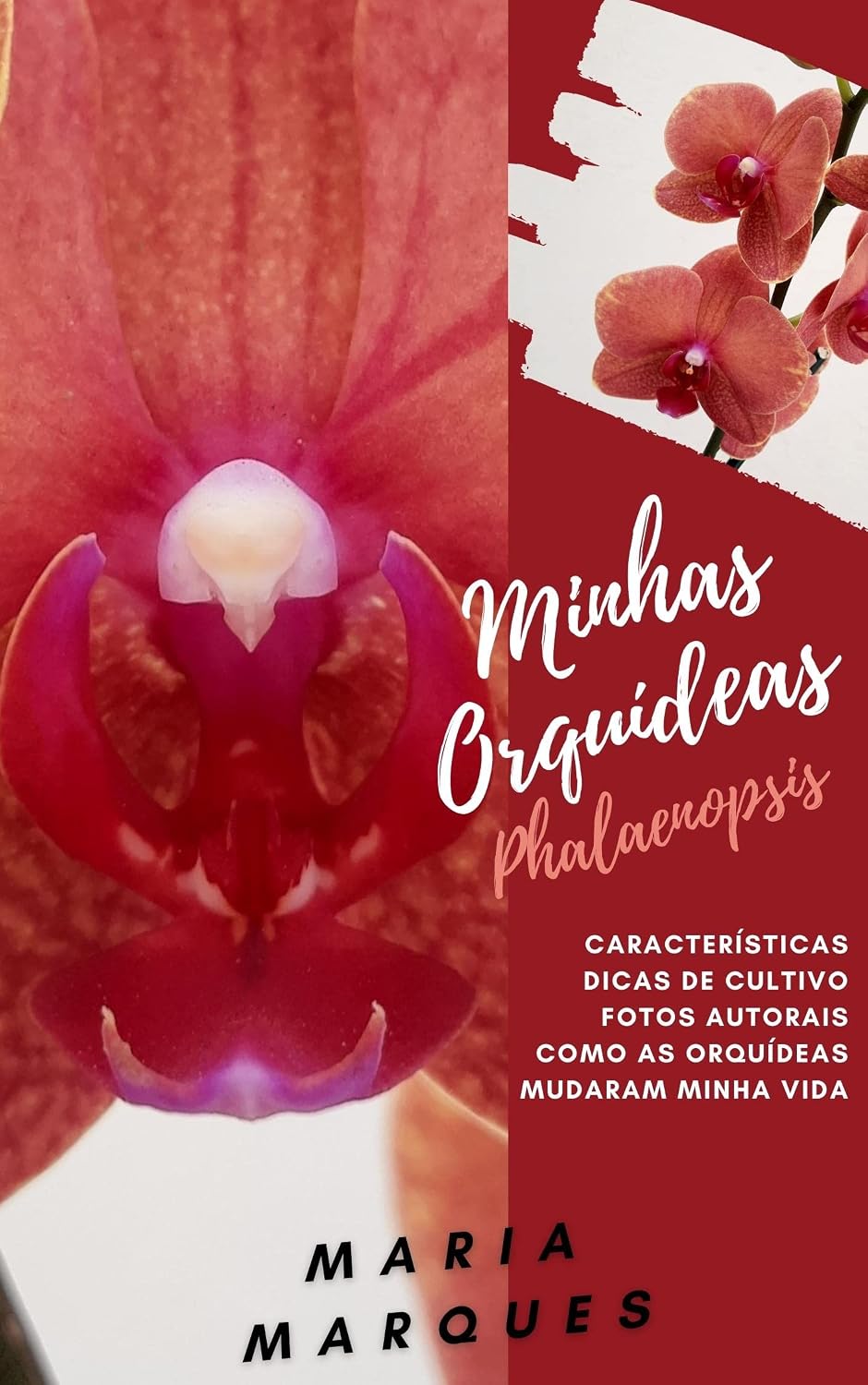 capítulo por capítulo baixar Minhas Orquídeas: Phalaenopsis
