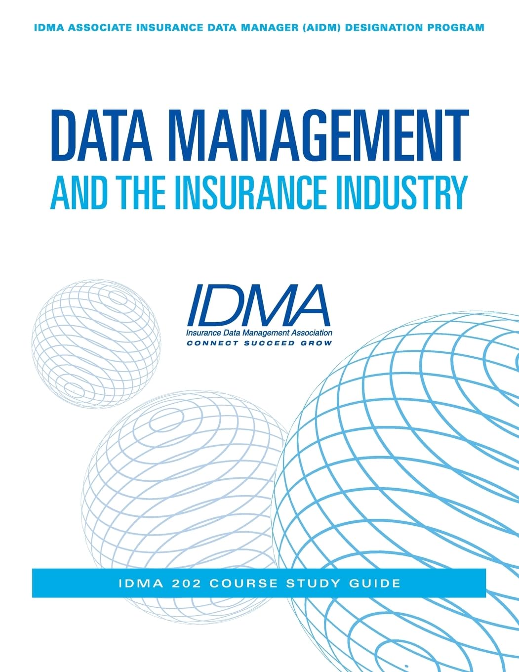 Data Management and the Insurance Industry: IDMA 202 Course Study Guide baixar o livro de graça