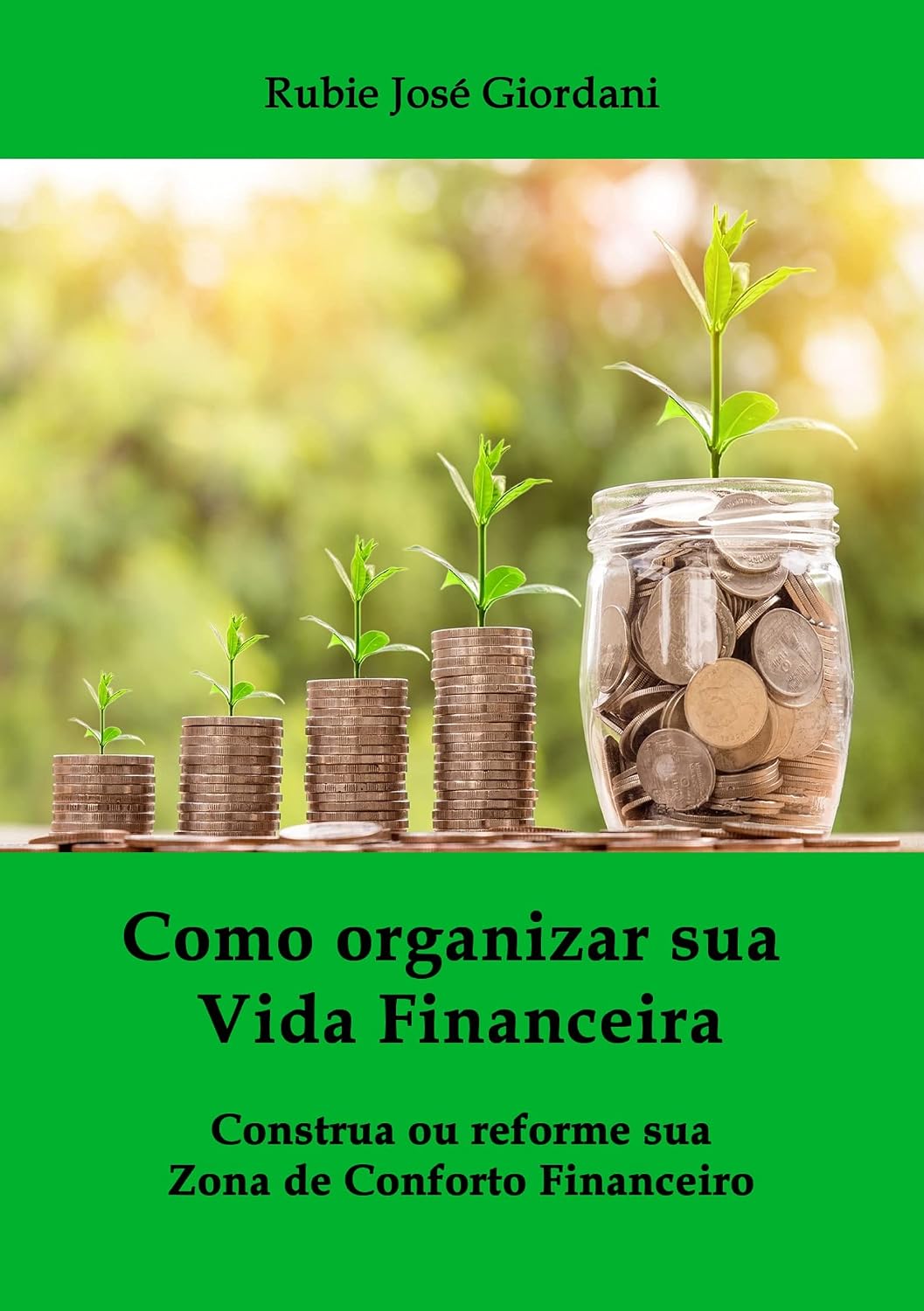 Como organizar sua vida financeira: Construa ou reforme sua Zona de Conforto Financeiro baixar o livro de graça