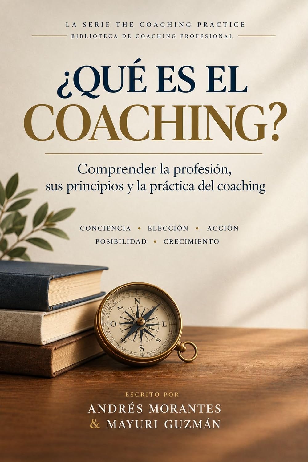 ¿Qué es el Coaching?: Comprender la profesión, sus principios y la práctica del coaching (Spanish Edition) baixar livro de graça