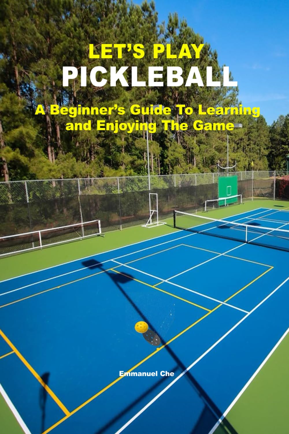 Let’s Play Pickleball: A Beginner’s Guide To Learning and Enjoying The Game baixar livro de graça