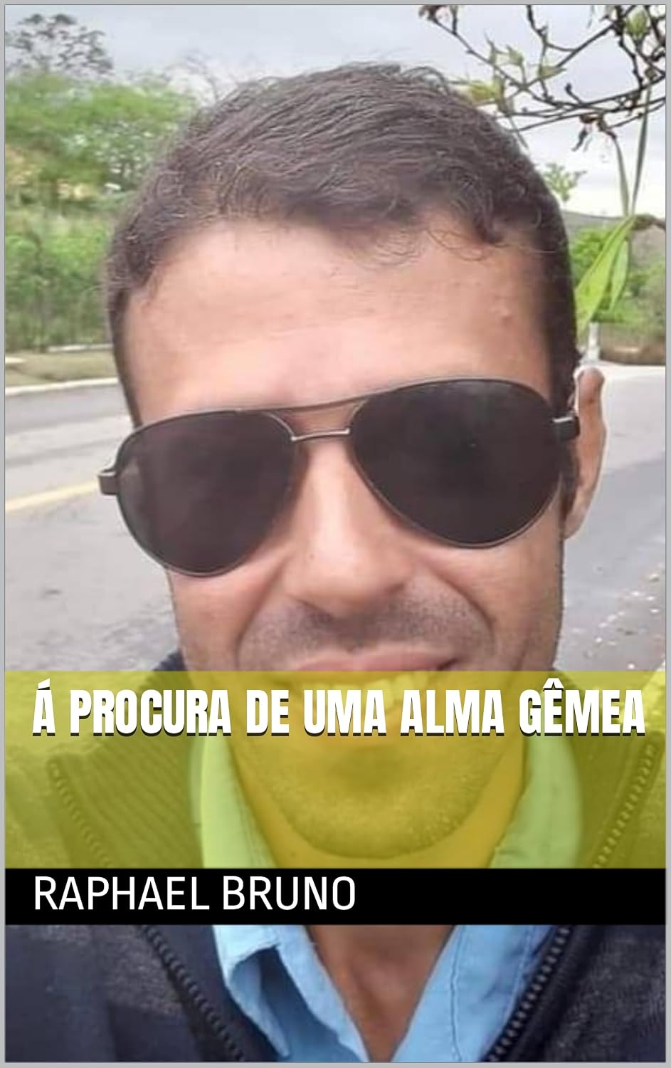 Á PROCURA DE UMA ALMA GÊMEA baixar o livro de graça
