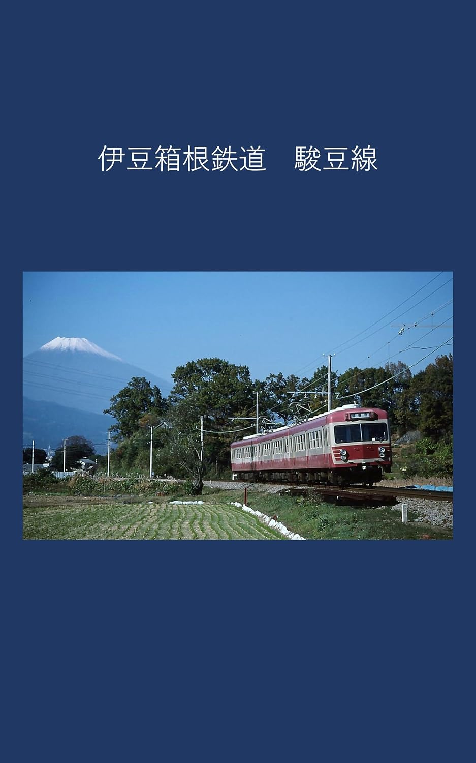 Izu Hakone Railway Sunzu Line (Japanese Edition) baixar livro de graça