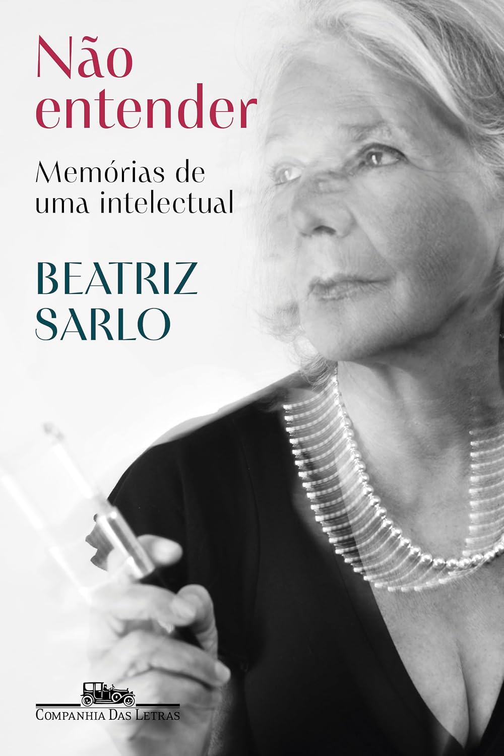 Não entender: Memórias de uma intelectual baixar o livro de graça
